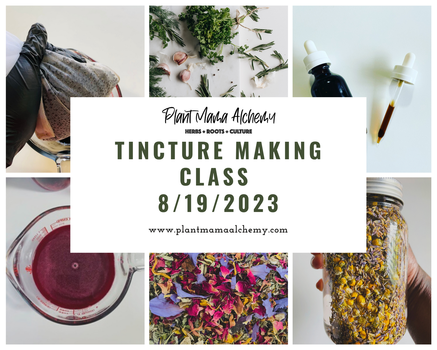 Herbal Tincture Making Class