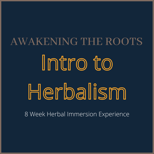 Awakening The Roots - Intro to Herbalism