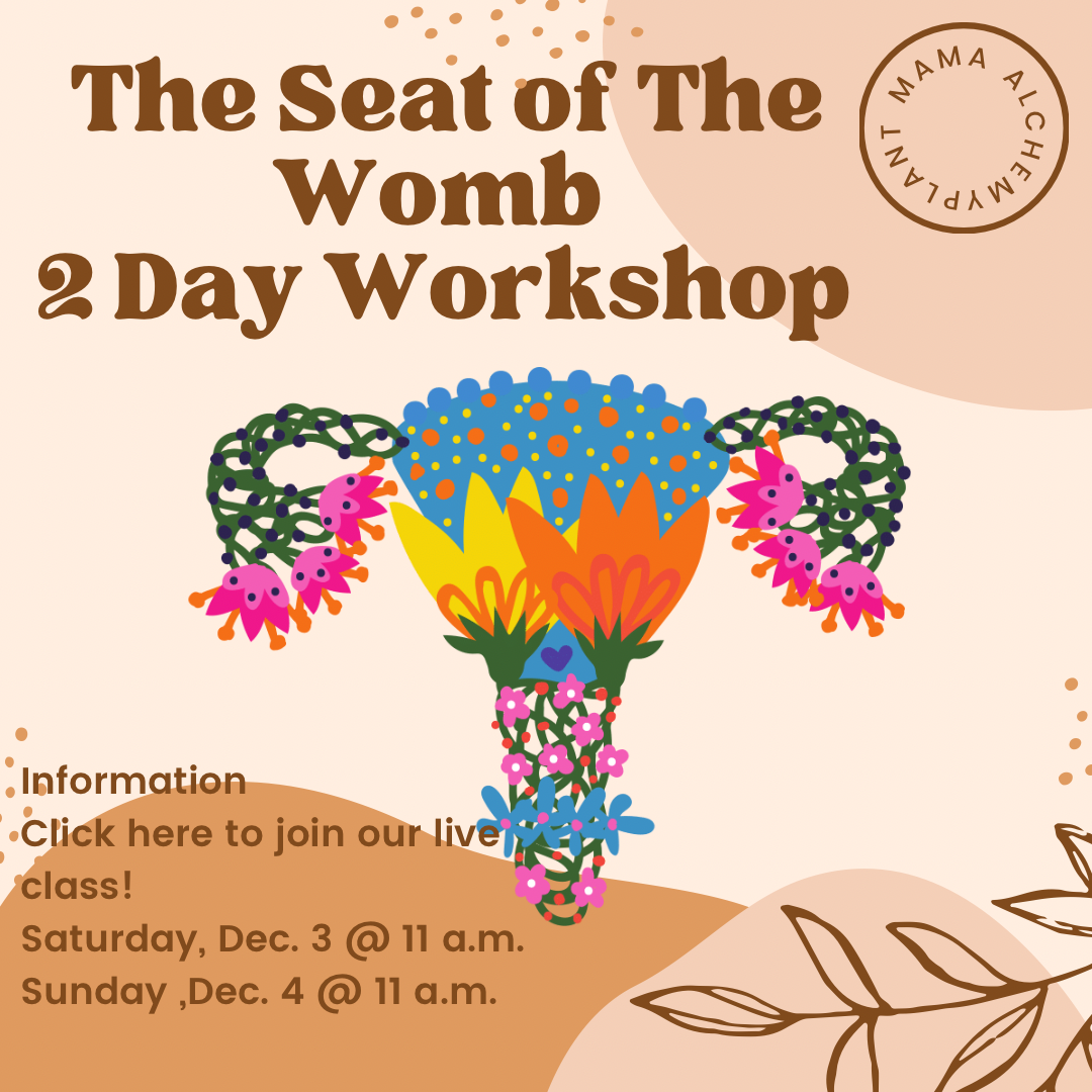 The Seat of The Womb Workshop