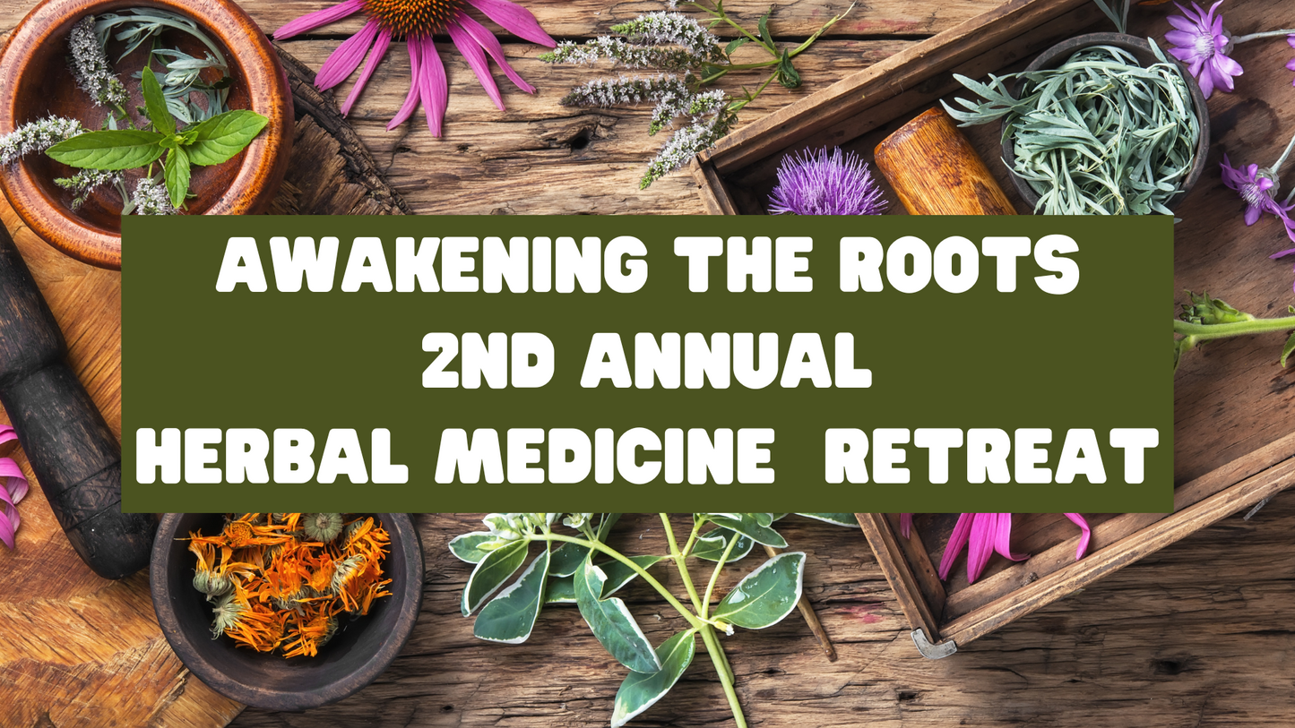 Awakening the Roots Herbal Medicine Retreat