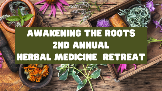 Awakening the Roots Herbal Medicine Retreat