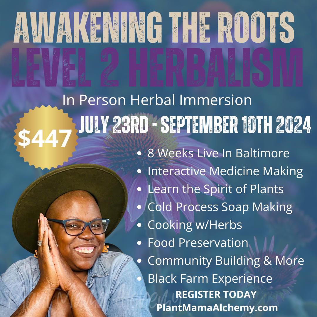 Awakening the Roots Level 2 Herbalism In-Person Course