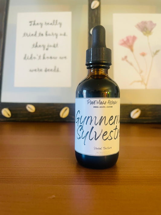Gymnema Herbal Tincture