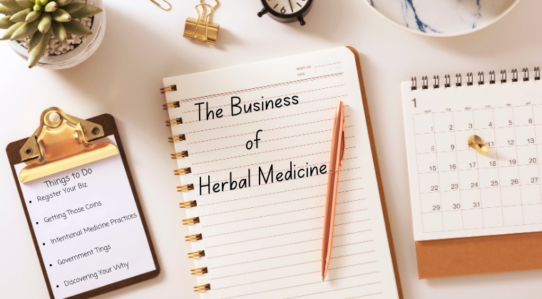 The Business of Herbal Medicine Mentorship
