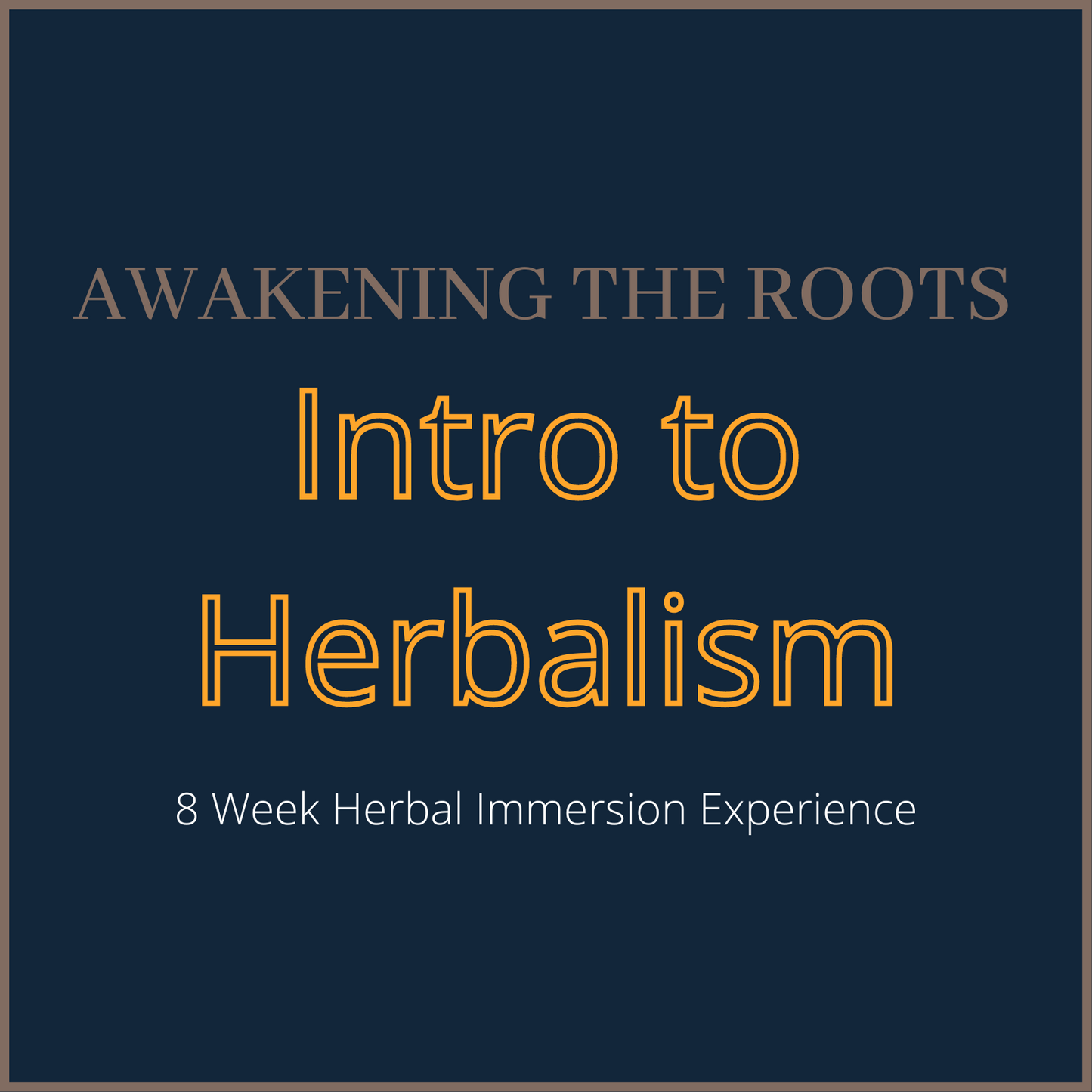 Awakening The Roots - Intro to Herbalism